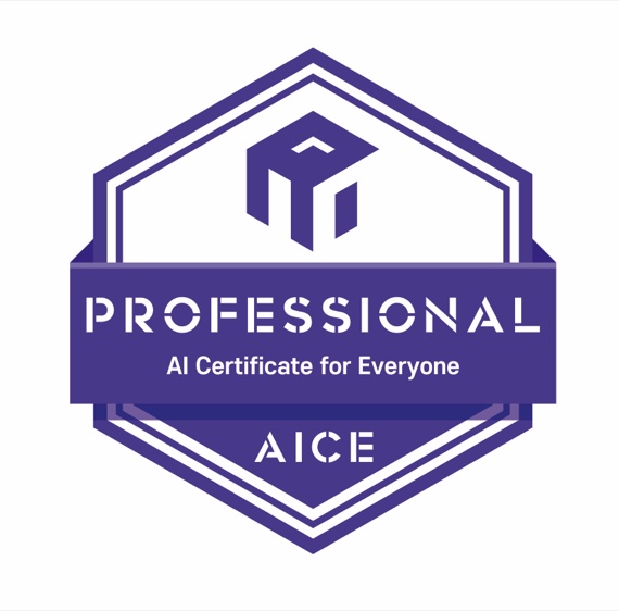 AICE PROFESSIONAL 배지